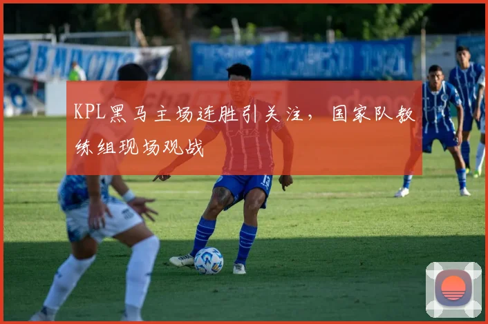 KPL黑马主场连胜引关注,国家队教练组现场观战