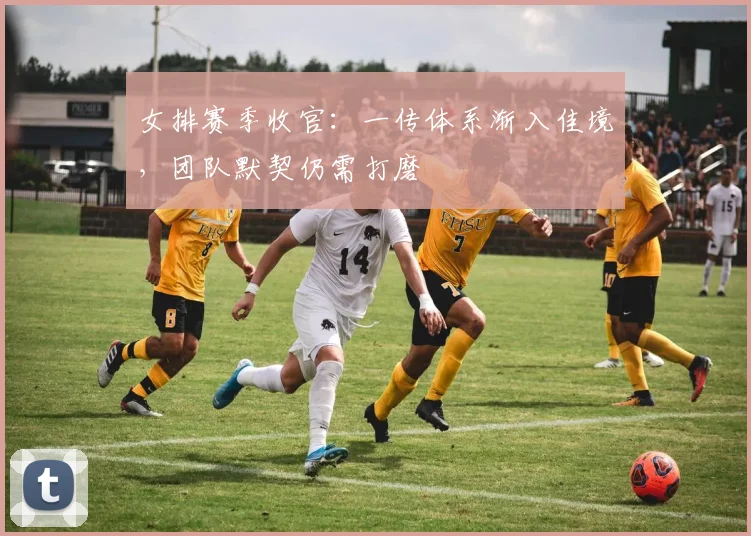 女排赛季收官：一传体系渐入佳境，团队默契仍需打磨