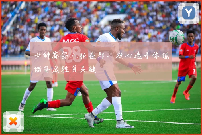 世锦赛第八轮在即,核心选手体能储备成胜负关键